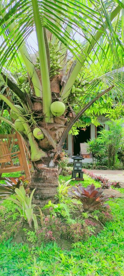 Turtle Meru Betiri Homestay Banyuwangi (East Java)