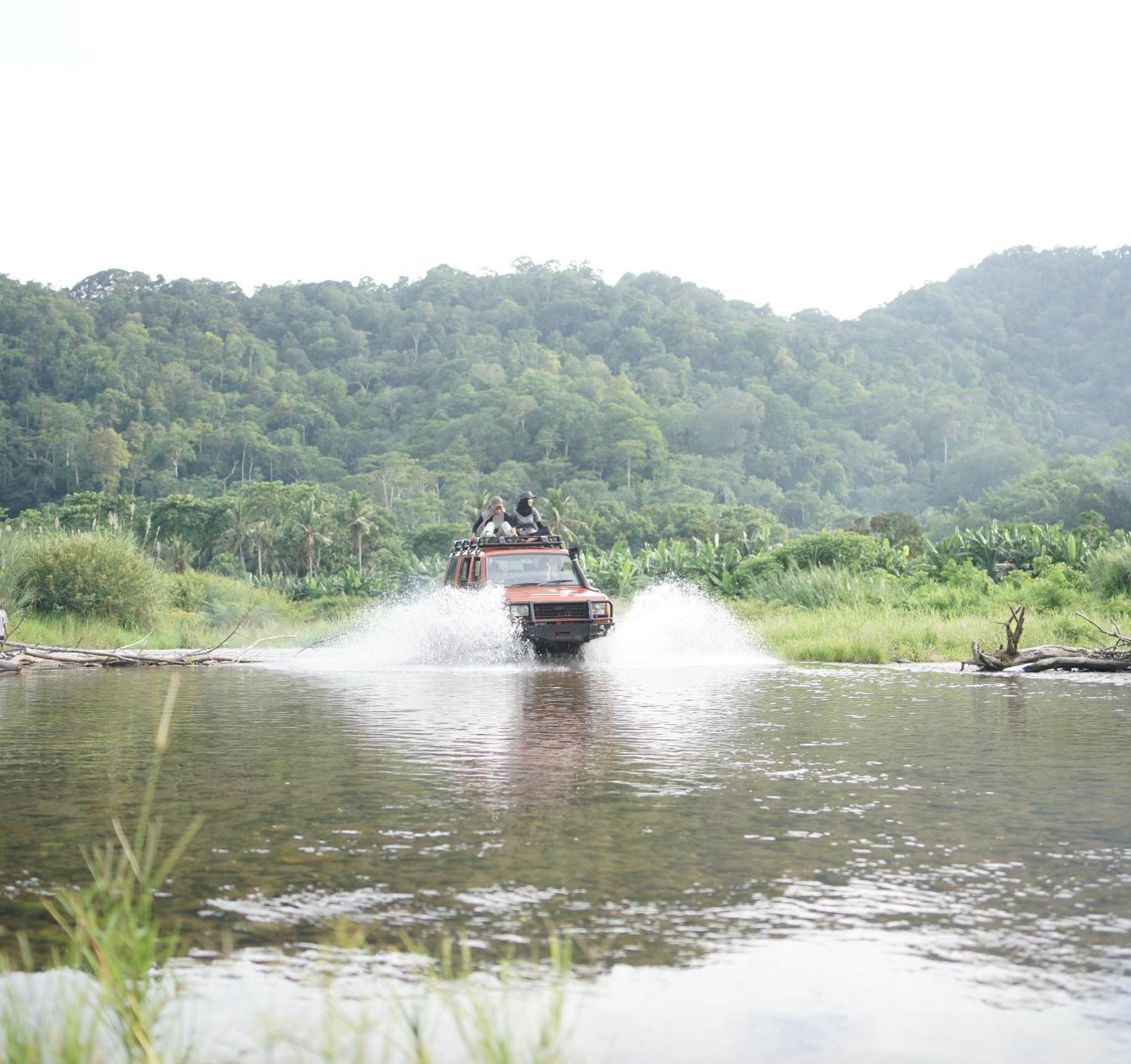 Turtle Meru Betiri Homestay