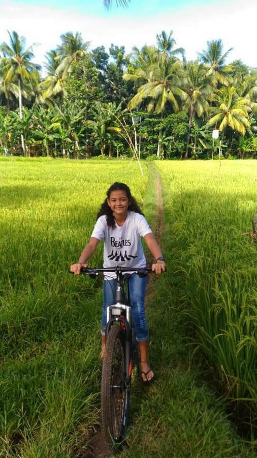 Homestay Turtle Meru Betiri
